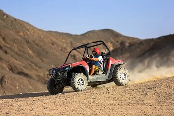 Hurghada Safari Trip Quad, Buggy, Jeep, Camel, Dinner, and Show - Image 4