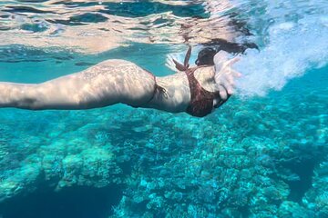 Snorkel at White Island and Ras Mohammed in Sharm El Sheikh - Image 4