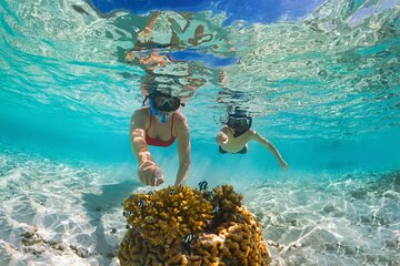 Enjoy Snorkeling at Sharm El Naga National Park & Lunch –Hurghada - Image 4
