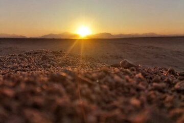 Full Day Safari ATV Quad, Camel Ride & Bedouin Dinner- Hurghada - Image 4