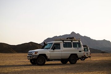 Super Safari ATV, Drive Buggy, Camel Ride, Dinner & Show-Hurghada - Image 4