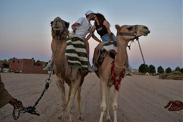 Jeep Safari, Star Gazing, Bedouin Dinner & Camel Ride - Hurghada - Image 2