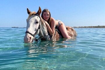 Swimming by Horse at Red Sea Beach & Desert with Dinner- Hurghada - Image 2