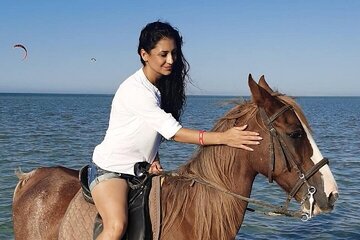 Swimming by Horse at Red Sea Beach & Desert with Dinner- Hurghada - Image 3