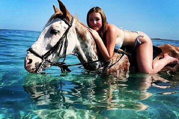 Swimming by Horse at Red Sea Beach & Desert with Dinner- Hurghada - Image 4