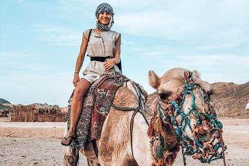 Safari by ATV Quad Bike and Camel Ride With Transfer - Hurghada - Image 4