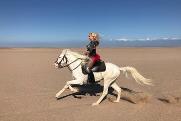 Horse Ride Trip , Bedouin Dinner And Show - Sharm El Sheikh - Image 1