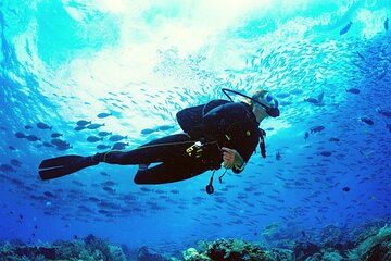 Scuba Diving Trip with Transfers & Lunch - Hurghada - Image 3