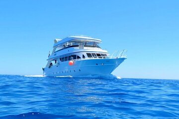 PADI Advanced Diving Course Open Water - Hurghada - Image 2
