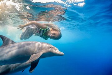 Dolphin House Sea Trip with Water Sport and Lunch - Image 1