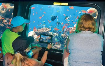 Semi-Submarine, Snorkeling Sea Trip With Transfer – Hurghada - Image 2