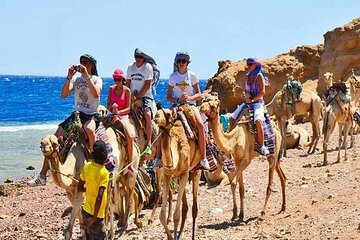 Blue Hole in Dahab Full Day with Lunch & Camel - Sharm El Sheikh - Image 2