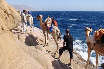Blue Hole in Dahab Full Day with Lunch & Camel - Sharm El Sheikh - Image 3
