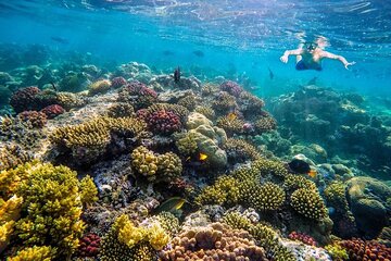 Abo Munkar Island Semi Private Speedboat & Water Sports –Hurghada - Image 3