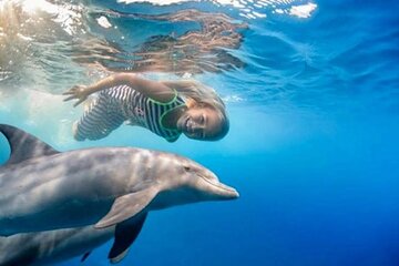 Swimming With Dolphin in Red Sea Adventure with Lunch - Hurgada - Image 2