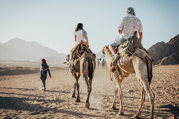 Horseback Two Hours Guided Riding with Transfer in Hurghada - Image 4