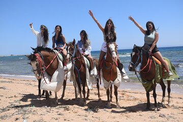 Adventure Horseback Riding Beach & Desert with Dinner – Hurghada - Image 3