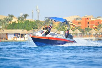 Swimming with Dolphins by Private Speed Boat - Hurghada - Image 1
