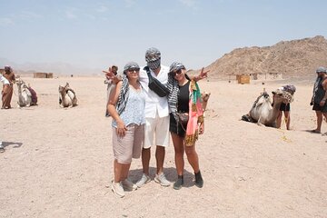 Hurghada safari 3 Hour Quad &Camel Ride Bedouin Village Visit - Image 2