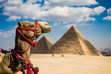 Full Day Tour To Cairo with Lunch From Hurghada by Bus - Image 4