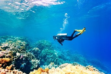 Scuba Diving in the Red Sea - Image 2