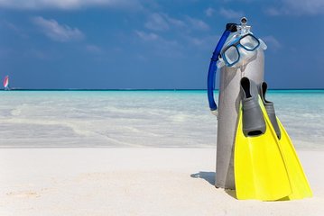 Scuba Diving in the Red Sea - Image 4