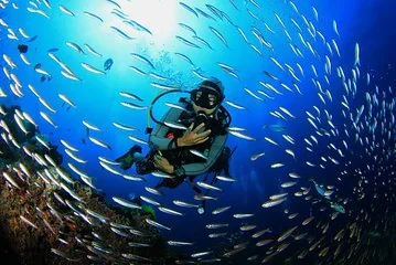 Scuba Diving Boat Trip for beginners With Lunch&Transfer_Hurghdad