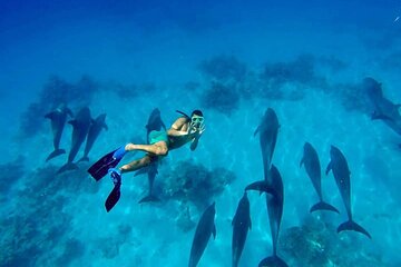 Snorkel at The Dolphin House Adventure In Hurghada - Image 2