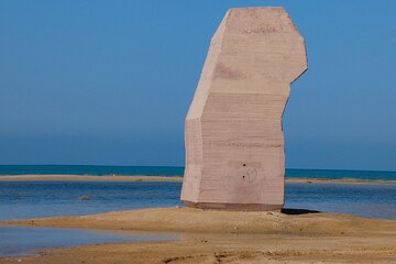 Ras Mohammed by Bus Half day Tour from Sharm El Sheikh - Image 4