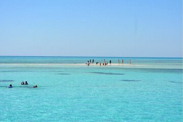 Diving Day in White Island and Ras Mohamed - Image 2