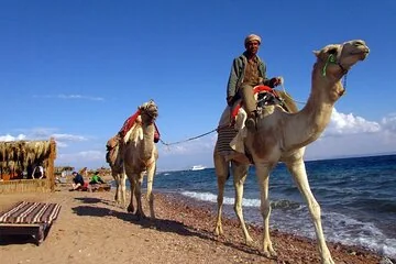 3 Pools National Park and Dahab With Ride Camel _ Sharm El Sheikh - Image 3