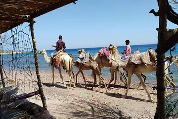 3 Pools National Park and Dahab With Ride Camel _ Sharm El Sheikh - Image 4