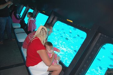 Semi Submarine Trip 2 Hours With Transfer from Sharm - Image 2