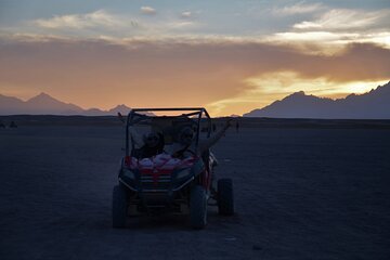 Bedouin Village and Dune Buggy Desert Trip from Sharm El Sheikh - Image 3