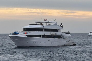 Snorkeling with Dolphins and Lunch at Sataya Reefs From Marsa - Image 1
