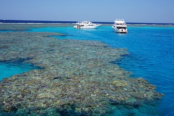 Snorkeling with Dolphins and Lunch at Sataya Reefs From Marsa - Image 4