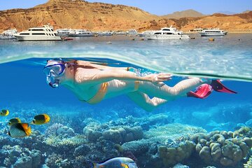 Hamata Snorkeling Sea Trip from Marsa Alam - Image 2