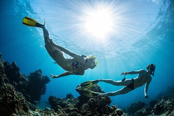 Coral Garden Snorkeling Sea Trip from Marsa Alam - Image 2
