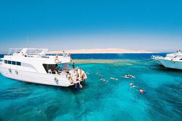 Coral Garden Snorkeling Sea Trip from Marsa Alam - Image 4