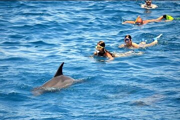 Full-Day Sea Trip with Dolphins and Snorkeling in Red Sea - Image 3