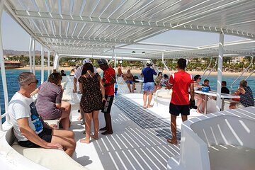 Full-Day Sea Trip with Dolphins and Snorkeling in Red Sea - Image 4