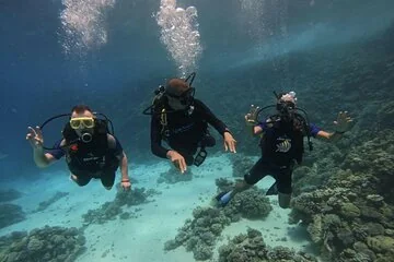 Discover Hurghada: Beginner Scuba Diving Adventure with Lunch Included