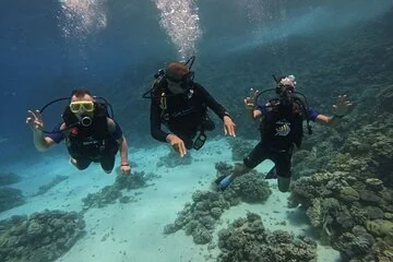 Scuba Diving Experience in Hurghada with Lunch - Image 4