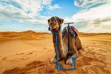 Amazing Quad Safari by Bike & Visit caves + Camel Ride - Hurghada - Image 3
