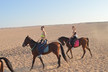 Experience Horse Ride Adventure in the Desert - Hurghada - Image 4