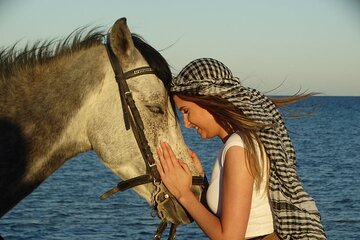 Beach, Desert, Swimming by Horse at Red Sea - Hurghada - Image 3