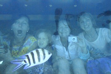 Semi-Submarine & Snorkeling Cruise with Transfer -Sharm El Sheikh - Image 3