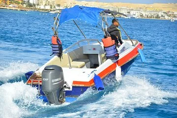 Private Dolphin House Speedboat Parasailing Adventure - Hurghada - Image 2