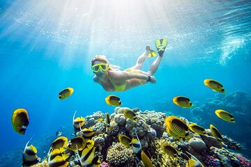Orange Bay Island Snorkeling & Turkish Bath & Lunch - Hurghada - Image 3