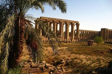Luxor private full day tour 3-7 pax - Image 4
